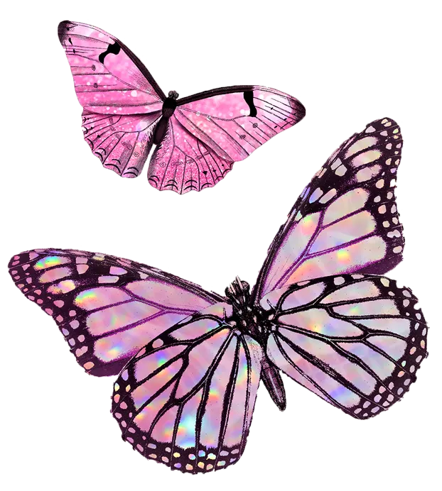 butterfly-img